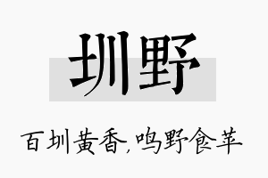 圳野名字的寓意及含义