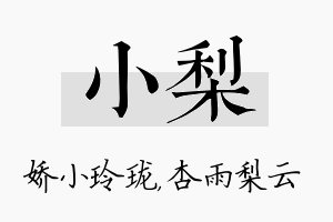 小梨名字的寓意及含义