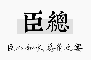 臣总名字的寓意及含义