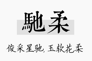 驰柔名字的寓意及含义