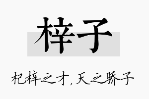 梓子名字的寓意及含义