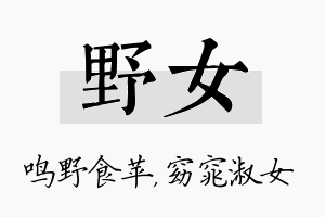 野女名字的寓意及含义