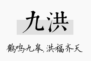 九洪名字的寓意及含义