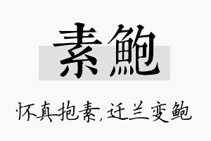 素鲍名字的寓意及含义