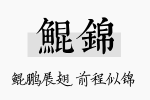 鲲锦名字的寓意及含义