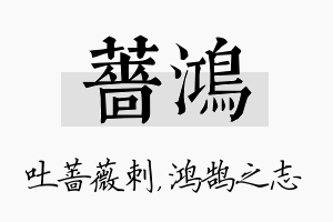 蔷鸿名字的寓意及含义