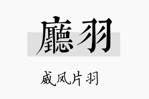 厅羽名字的寓意及含义