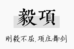 毅项名字的寓意及含义