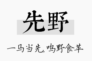 先野名字的寓意及含义