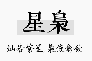 星枭名字的寓意及含义