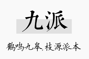 九派名字的寓意及含义