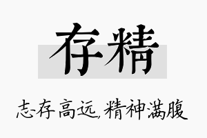 存精名字的寓意及含义