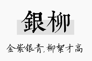 银柳名字的寓意及含义