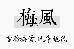 梅风名字的寓意及含义