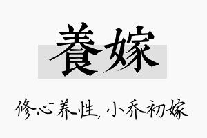 养嫁名字的寓意及含义