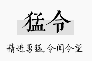 猛令名字的寓意及含义