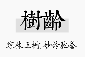 树龄名字的寓意及含义