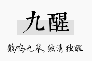 九醒名字的寓意及含义