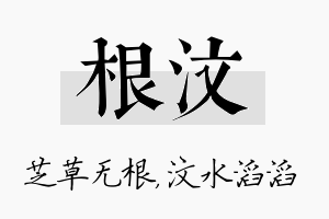 根汶名字的寓意及含义