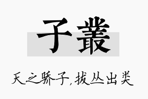 子丛名字的寓意及含义