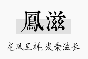 凤滋名字的寓意及含义