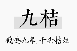 九桔名字的寓意及含义