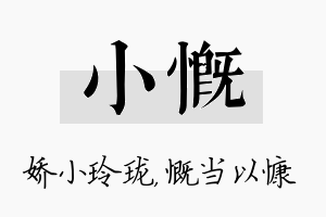 小慨名字的寓意及含义