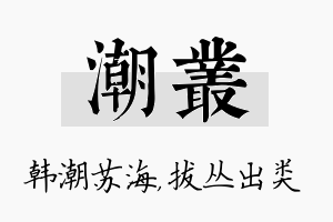 潮丛名字的寓意及含义