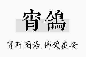 宵鸽名字的寓意及含义