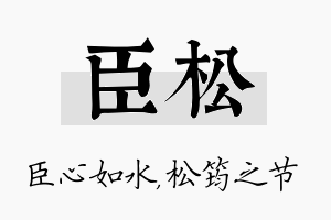 臣松名字的寓意及含义