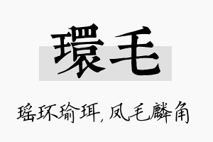 环毛名字的寓意及含义