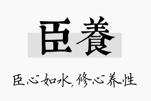 臣养名字的寓意及含义