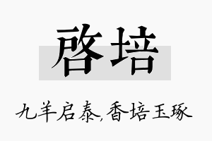 启培名字的寓意及含义