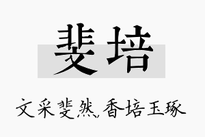 斐培名字的寓意及含义