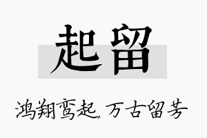 起留名字的寓意及含义