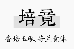 培竟名字的寓意及含义