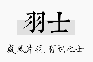 羽士名字的寓意及含义