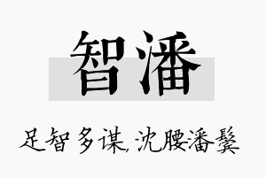 智潘名字的寓意及含义