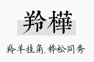 羚桦名字的寓意及含义