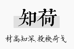 知荷名字的寓意及含义