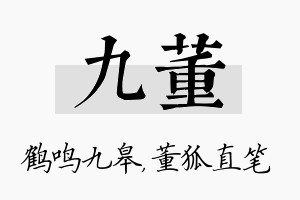 九董名字的寓意及含义