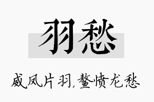 羽愁名字的寓意及含义