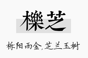 栎芝名字的寓意及含义