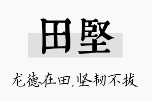 田坚名字的寓意及含义