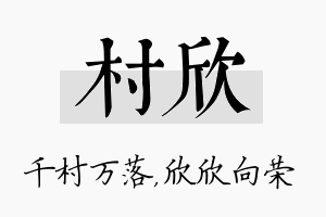 村欣名字的寓意及含义