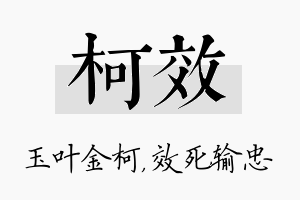 柯效名字的寓意及含义