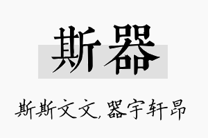 斯器名字的寓意及含义