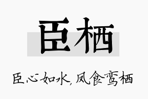 臣栖名字的寓意及含义