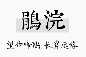 鹃浣名字的寓意及含义