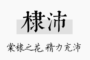 棣沛名字的寓意及含义